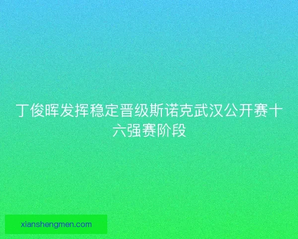 丁俊晖发挥稳定晋级斯诺克武汉公开赛十六强赛阶段